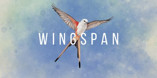 Wingspan 展翅翱翔